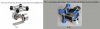 gims.jpg