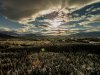 DJI00041.jpg