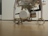 P1080100.JPG