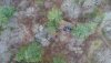 DJI_0031.JPG