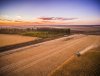 Corn Harvest2-1.jpg