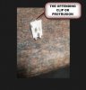 OFFENDING CLIP PHANTOM.jpg