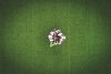 DJI_0047-2.jpg