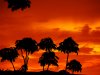 DSC01535.JPG