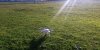 PSX_20200614_220724.jpg