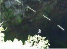 20201028_170534.jpg