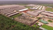 Industrial Poultry.jpg.jpg