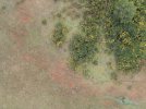 DJI_0524.JPG