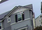 Watch crash2 Streamable.png