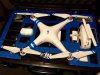 P3P_blue_microraptorprocase.jpg
