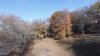 DJI_0027.JPG