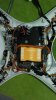 20160211_095647.jpg