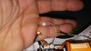 20160211_095954.jpg