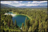 Swan Valley.png