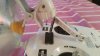 20160402_072911.jpg