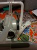 IMG_20160405_233326sm.jpg