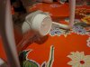 IMG_20160405_235310sm.jpg