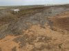 DJI_0001 (Medium).jpg