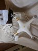 IMG_20160515_102854.jpg