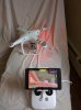 IMG_20160515_105842.jpg