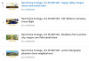 2016-05-19 00_35_02-Drone Flights - YouTube.png