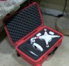 case from I.jpg