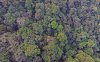 dji00602aa.jpg