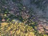 DJI_0008.JPG
