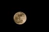 IMG_5763-1.jpg