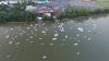 2016-9-1-DJI_0029.JPG