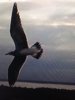 IMG_2347.JPG