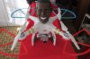 Drone Obama Dec 2016 001.JPG