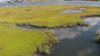 marsh drone.jpg