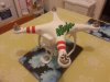 dji phantom fc40.jpg