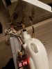 20170119_190930.jpg