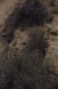 IMG_7649.PNG