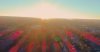 DJI_0008.mp4.00_00_59_28.Still001.jpg