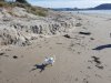 20170601_102752.jpg