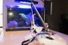 6-iPad Mini Clamped2.jpg