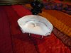 DSCN1607.JPG