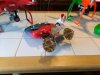 IMG_20170830_141410.jpg