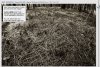 EXIF.jpg