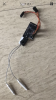 F0CA437E-9B8E-418E-B05F-759480231915.png