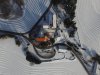 DJI_0137-2.JPG