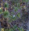 DJI_0010.jpg