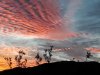 20180307_055826.jpg