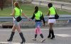 HiViz1.jpg