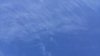 20180312_101015.jpg