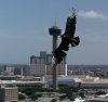 TowerBird-1.jpg