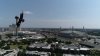 TowerBirdFull-1.jpg